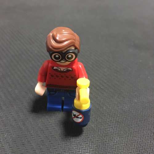 IMG